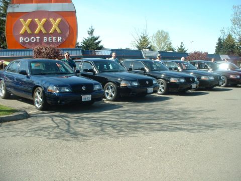 1999 Ford Crown Victoria - A line of Ford Crown Victoria police interceptors, including a blue one in the foreground, are parked in front of a XXX Root Beer sign.