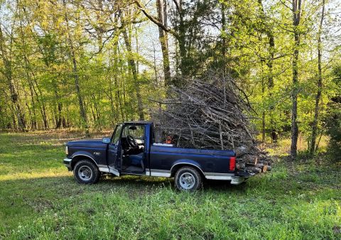 1995 Ford F-150 - It isn't 4WD, or built for hauling, but this little truck has become my go-to for picking up burnable yard waste from my 10 acres because i…