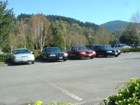 1999 Ford Crown Victoria - Four Ford Crown Victorias are parked in a lot on a sunny day.