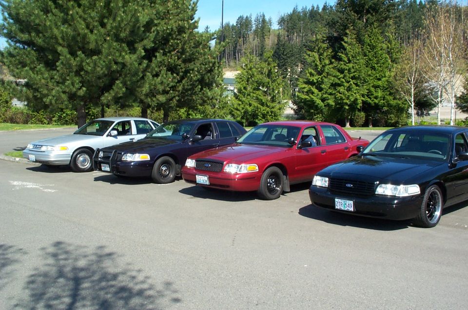 Four Ford Crown Victoria sedans parked in a row in a lot, white, black, dark red and black