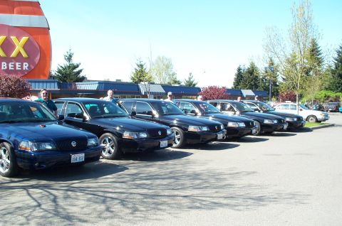 1996 Ford Crown Victoria - Row of Marauders and their owners.