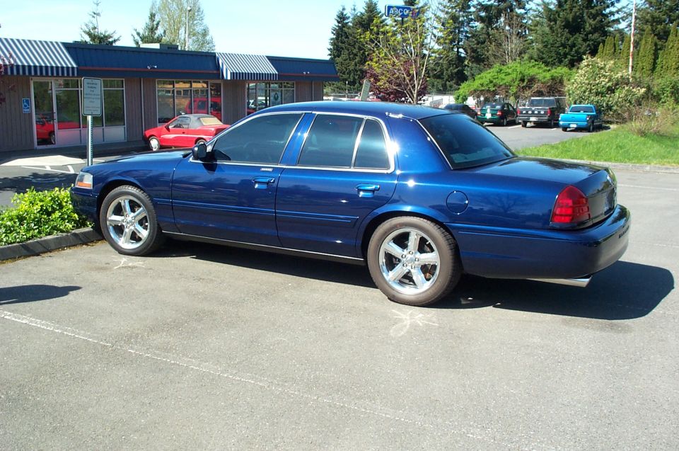 Beautiful Blue Marauder
