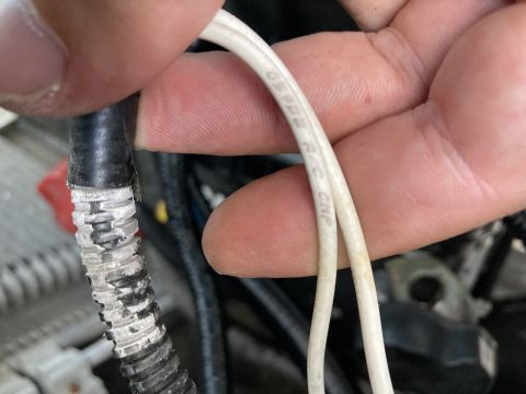 2015 Ford F-550 - Close-up view of electrical wiring within an engine bay, showing white and black wires.