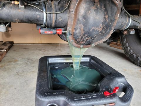 1996 Ford Bronco - Old gear oil is being drained from a vehicle's rear differential into a black catch pan.