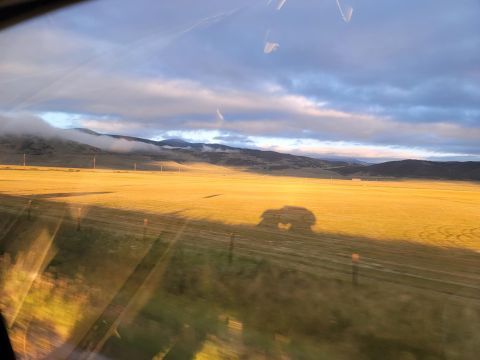 1996 Ford Bronco - The shadow of a large SUV is cast across a golden field under a cloudy sky.