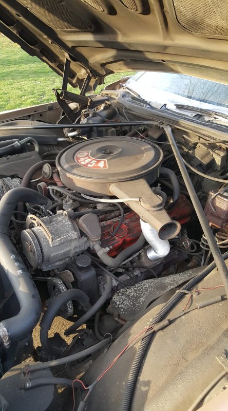 1972 Buick LeSabre - Engine bay of a 1972 Buick LeSabre, showing the 455 V8 engine and associated components.