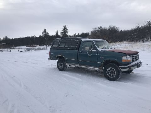 1995 Ford F-250 photo