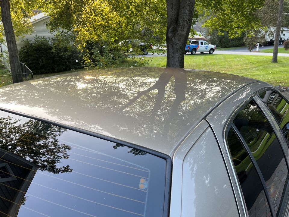 Close-up of a tan Ford Crown Victoria roof panel and rear window