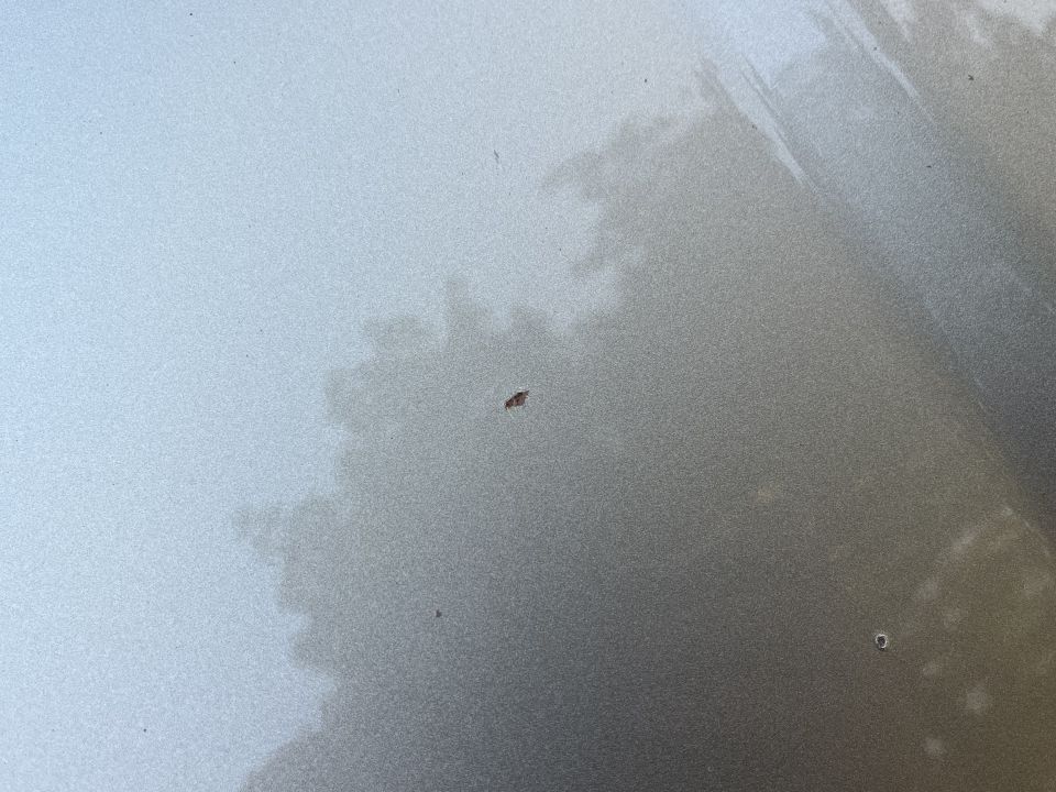 Close-up photo of silver car body paint surface