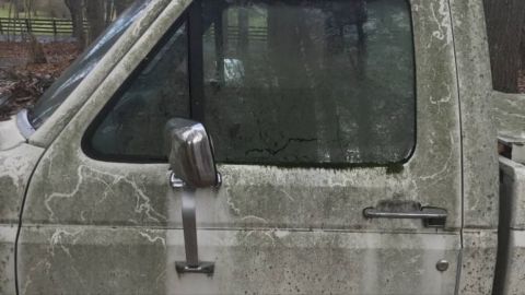1989 Ford F-250 photo