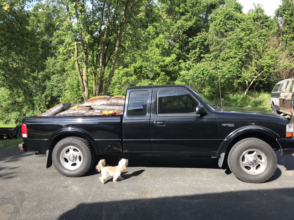 Black Ford Ranger pickup truck with a bed full of mulch bags, parked outside with a small dog nearby.