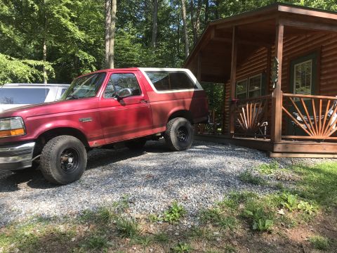 1994 Ford Bronco “Eddie”