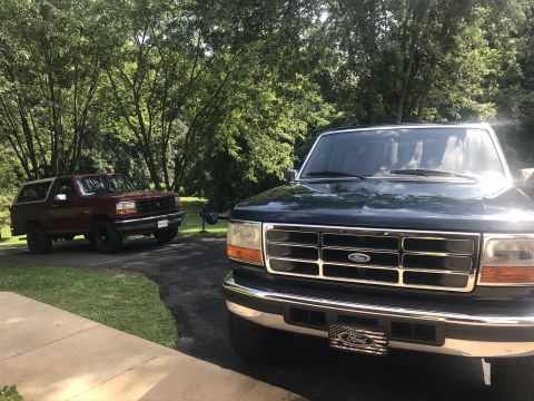 1995 Ford F-150 photo