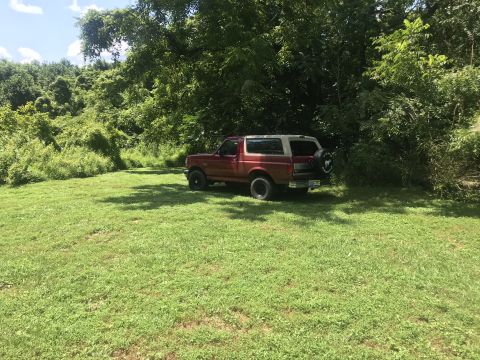 1994 Ford Bronco “Eddie”