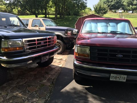 1995 Ford F-150 photo