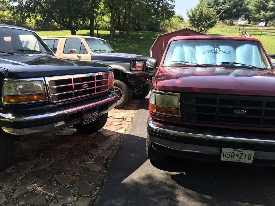Three Ford trucks parked side-by-side, front view. Black truck on left, red truck on right.