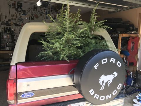 1994 Ford Bronco photo