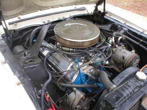 1967 Ford Mustang photo