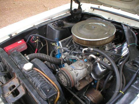1967 Ford Mustang photo
