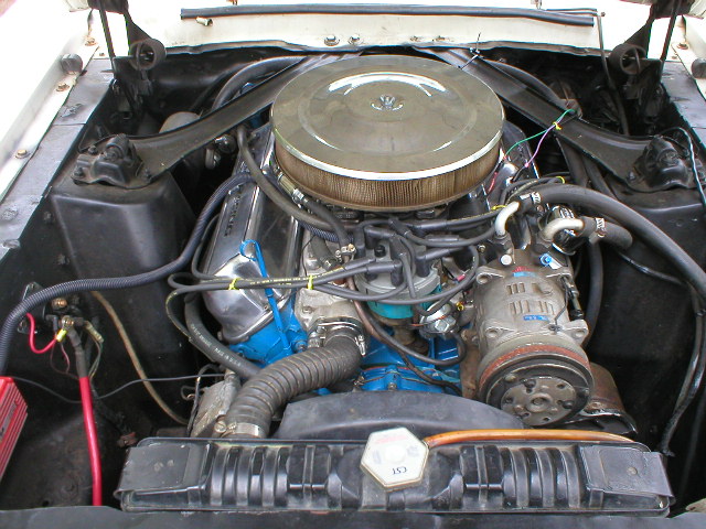 Engine bay with chrome air cleaner and blue engine block