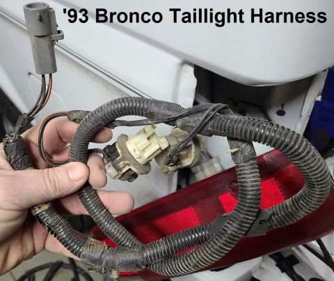 1983 Ford Bronco - '92-96 Bronco Taillight Harness (1 side; same both) IF THE IMAGE IS TOO SMALL, click it.