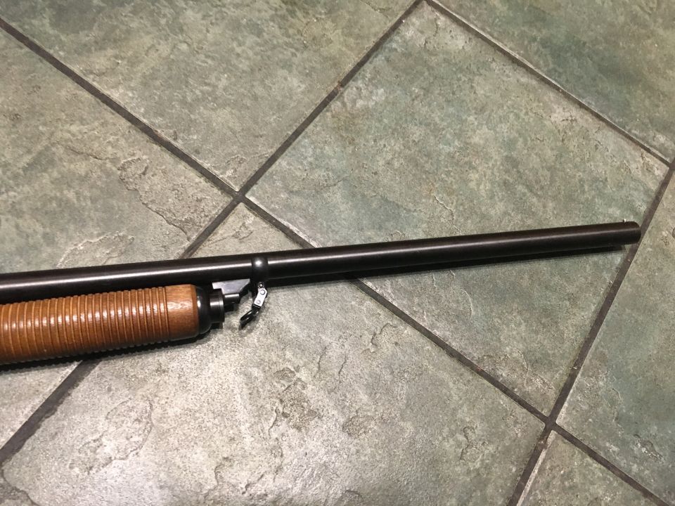 Springfield 67H #4