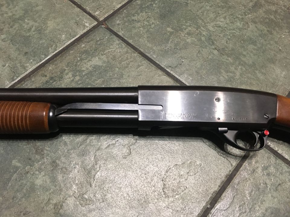 Springfield 67H #7
