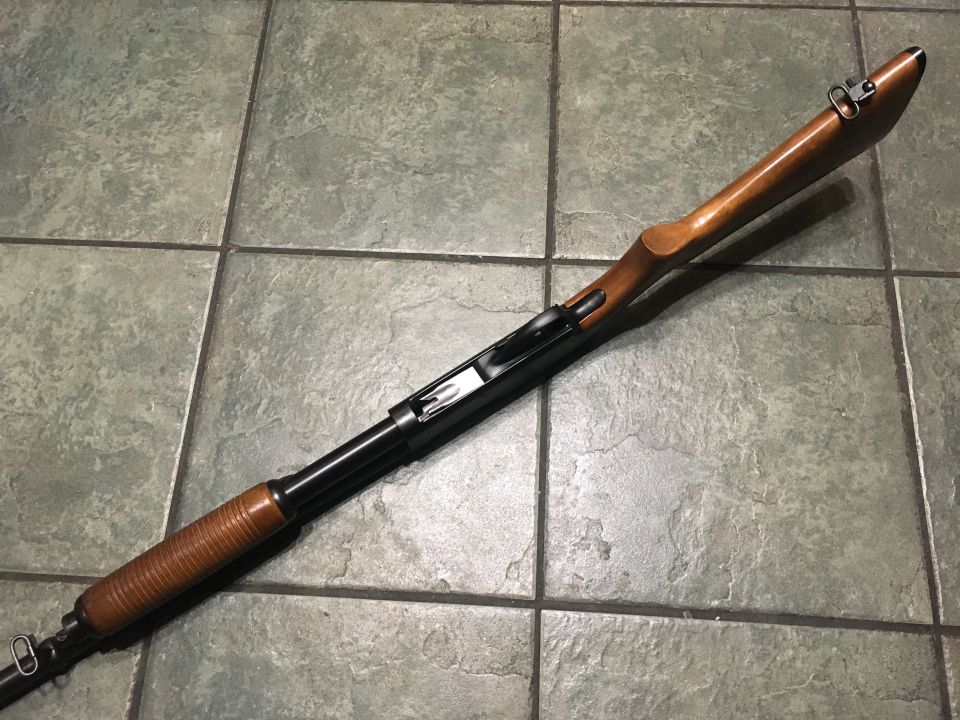 Springfield 67H #11