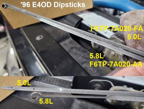 1983 Ford Bronco - '96 E4OD Dipsticks IF THE IMAGE IS TOO SMALL, click it. Bronco & F-series E4OD dipsticks got noticeably longer in '96, and there's a differ…