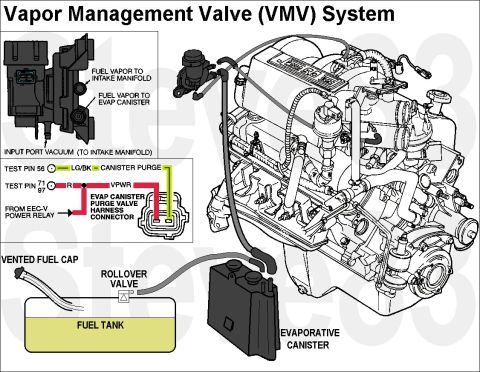 1983 Ford Bronco - V8 Vapor Management Valve (VMV, Ford F5TZ9C915A, Motorcraft CX1549) Connections (4.9L typical) IF THE IMAGE IS TOO SMALL, click it. When th…