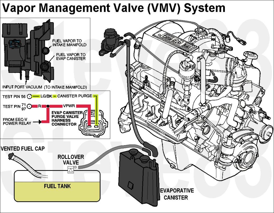Vapor Management Valve VMV system diagram with EVAP canister, rollover valve and fuel tank