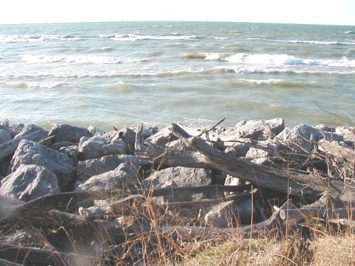 Beach with choppy water, rocks, and driftwood in the foreground. Watermark says SUPERMOTORS