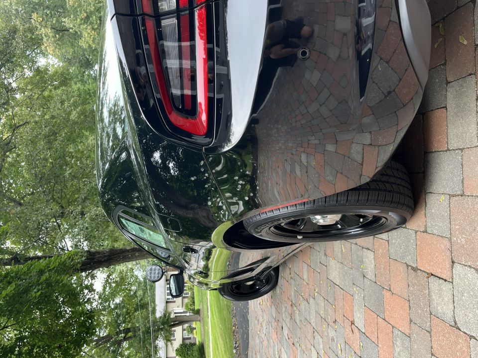 Black Dodge Charger rear quarter view with red taillight and black wheel