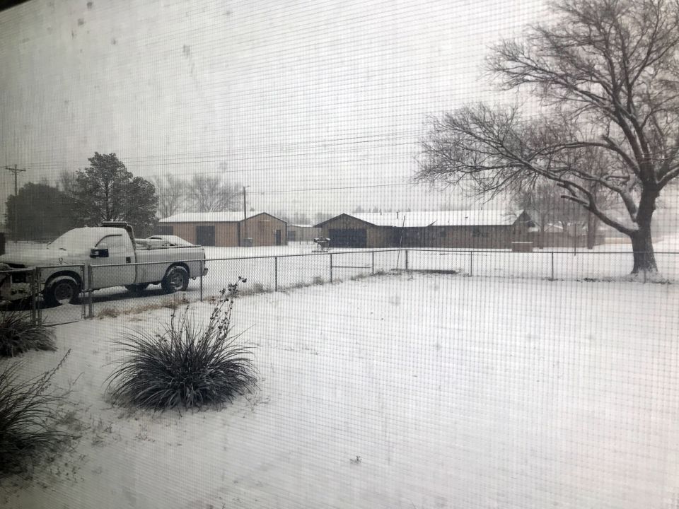 Silver pickup truck covered in snow, parked on a snowy property with buildings and a large tree in the background