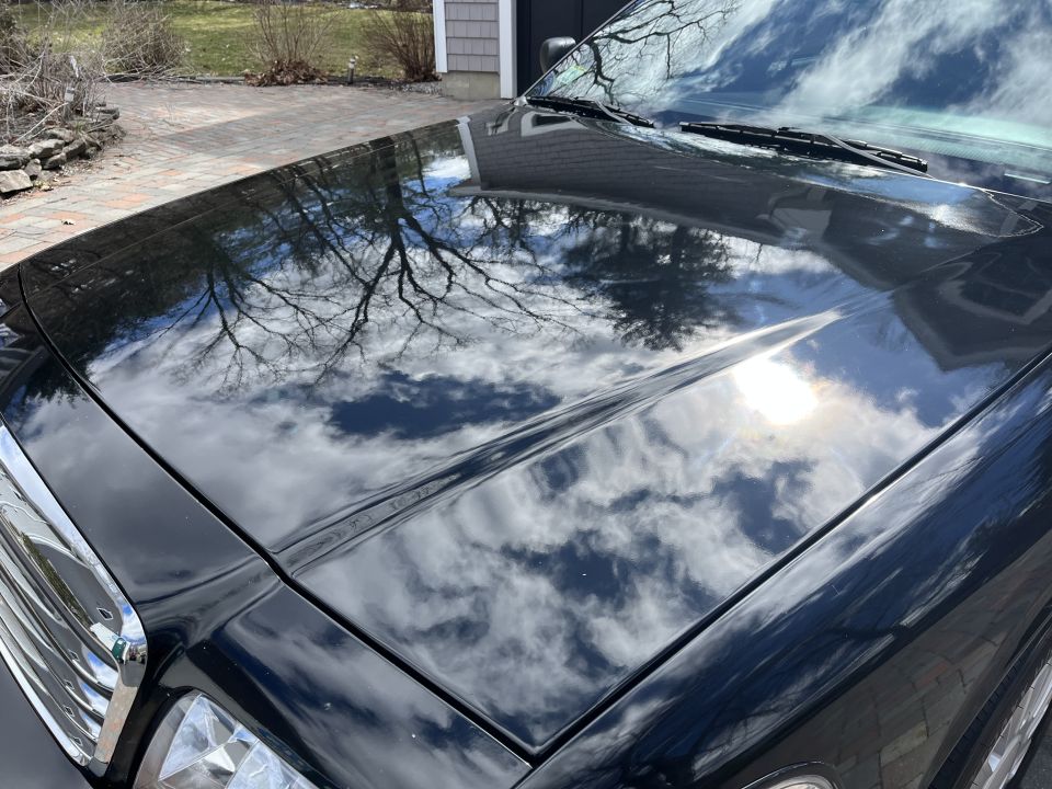 Hood and windshield of a black Ford Crown Victoria reflecting trees