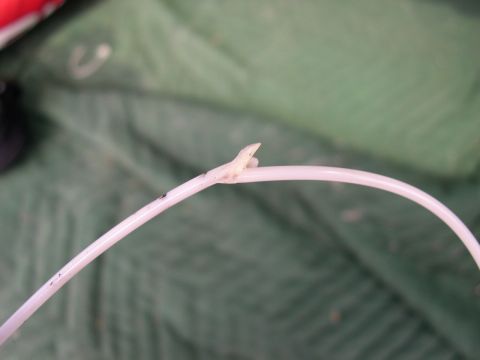 1994 Ford Bronco - AHHHH the problem, not sure what happened here, but it looks like it was melted by maybe a wire. i didnt see any burnt up wires though.