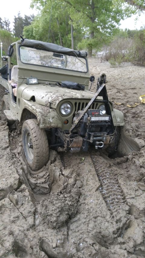 1952 Jeep CJ5