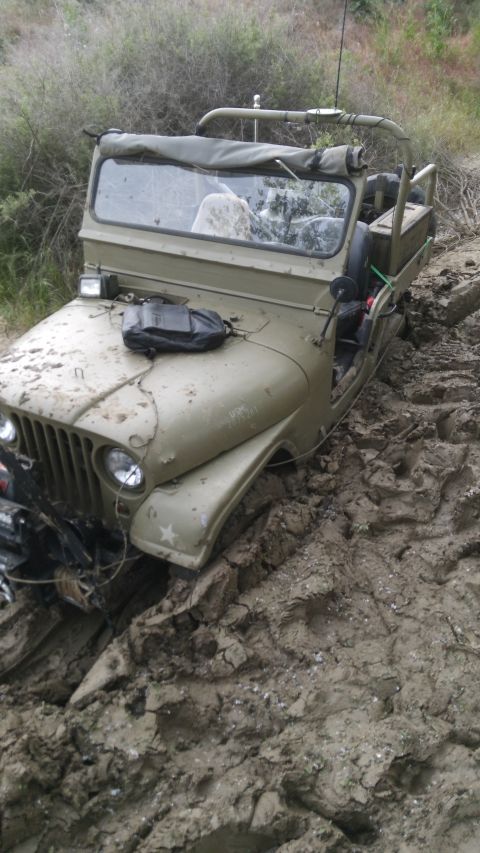 1952 Jeep CJ5