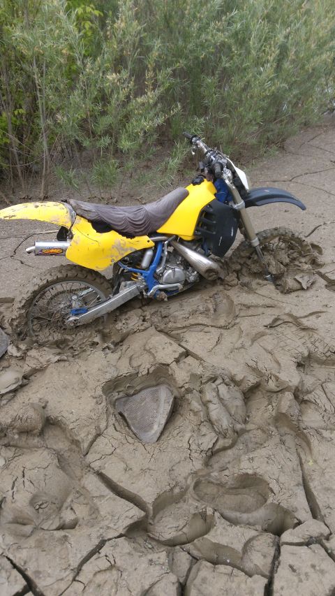 1991 Suzuki RM250 photo