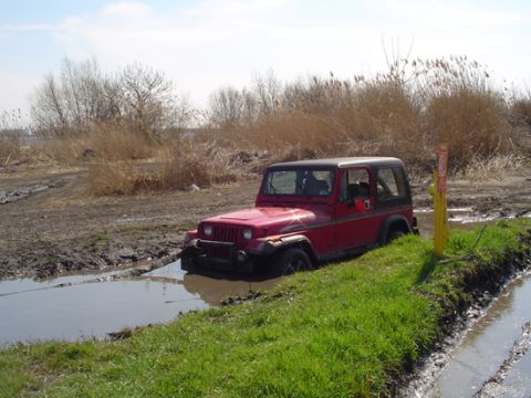 1979 Ford Bronco - A red Jeep Wrangler is stuck in a muddy ditch with tall reeds in the background.