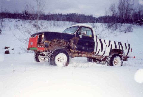 1995 Ford Bronco - This heavily modified pickup truck features a zebra print bed and is seen in a snowy environment.
