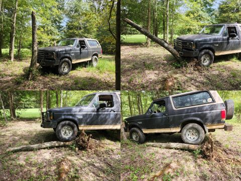 1983 Ford Bronco - Another dead tree had to come down, and this is the easiest way to get the stump out of the ground. IF THE IMAGE IS TOO SMALL, click it.