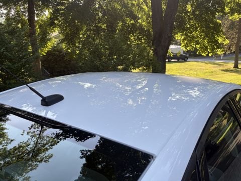 2001 Ford Crown Victoria - Close-up of the solid white roof of a sedan with a short black stubby antenna, no sunroof, framed by green trees overhead.