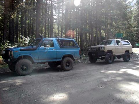 1985 Ford Bronco - Here are a few different angles.....