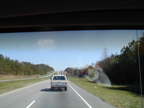 1988 Ford Bronco - A white pickup truck travels down a highway on a clear day, with trees lining the roadside.