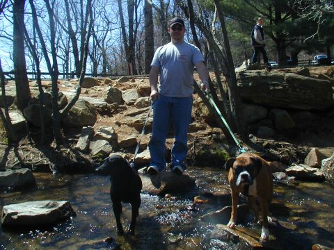 1988 Ford Bronco - A man and his dogs enjoy a walk through a shallow stream in a wooded area.
