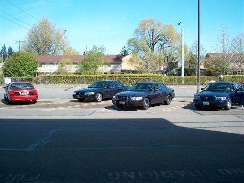 2001 Ford Crown Victoria - A group of sedans, including a 2001 Ford Crown Victoria, are parked in an outdoor lot on a sunny day.