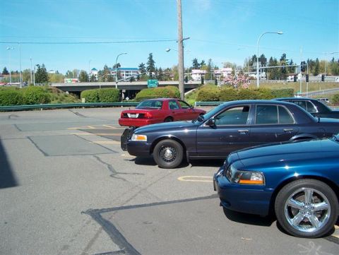 2001 Ford Crown Victoria - A lineup of Ford Crown Victorias, including a dark blue model in the foreground, are parked together on a sunny day.