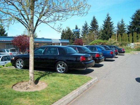 2001 Ford Crown Victoria - A line of Ford Crown Victoria sedans are parked in a lot on a sunny day.