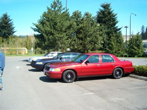 2001 Ford Crown Victoria - Three Ford Crown Victorias are parked in a lot under a clear blue sky.